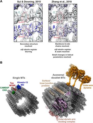 Structure Determination of Microtubules and Pili: Past, Present, and Future Directions